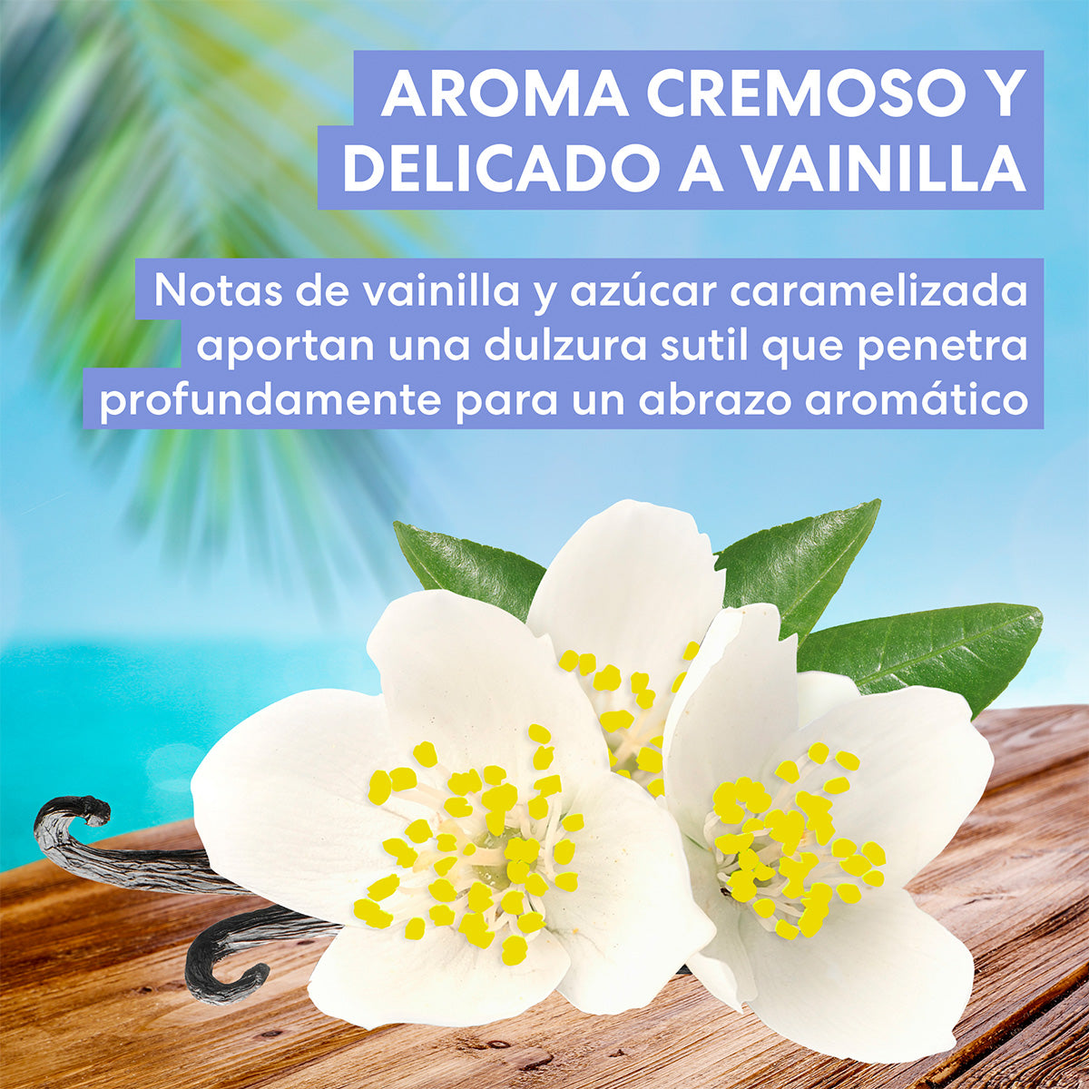 Tahitian Vanilla -  Crema Corporal Hidratante